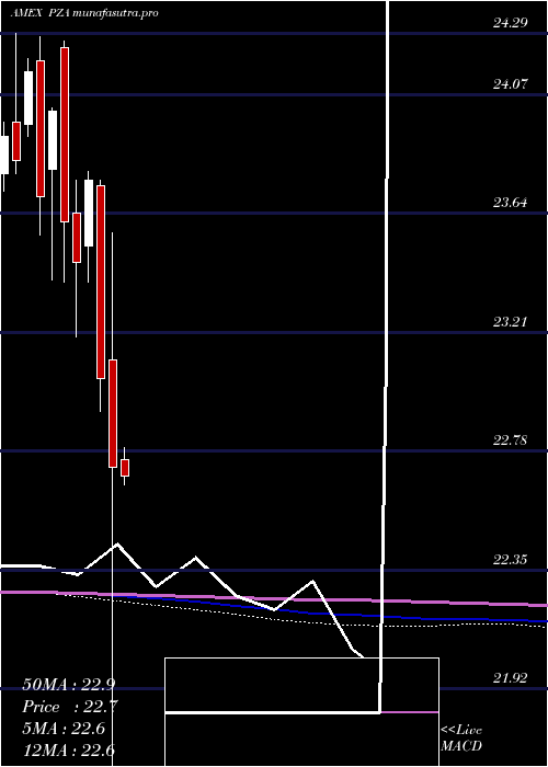  monthly chart InsuredNational