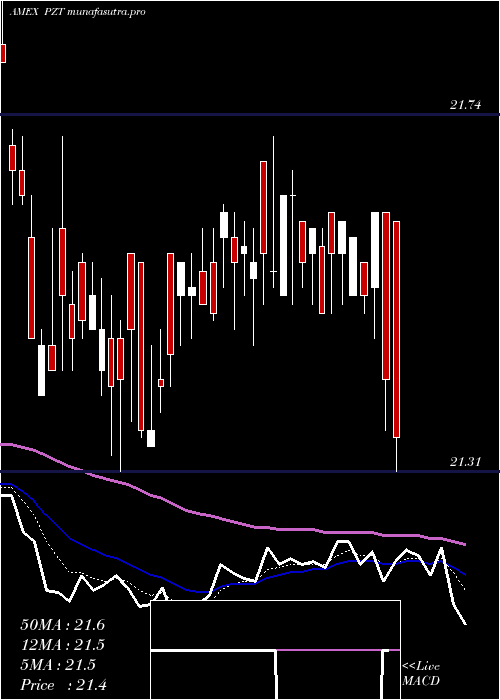Daily chart InsuredNew