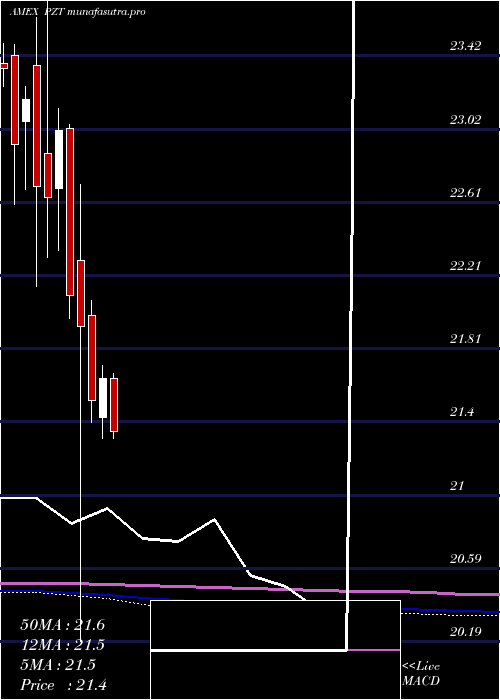 monthly chart InsuredNew