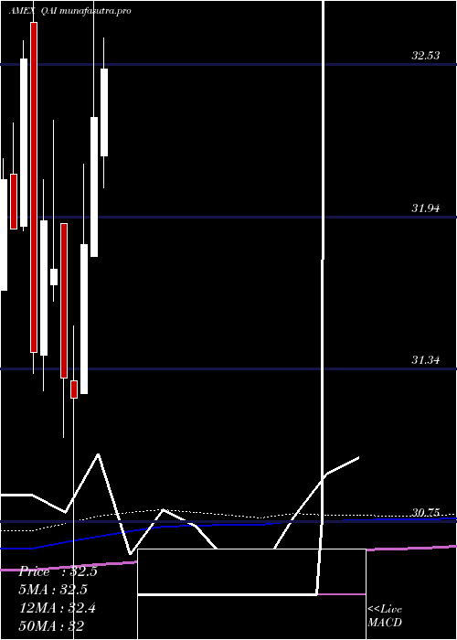  monthly chart IqHedge