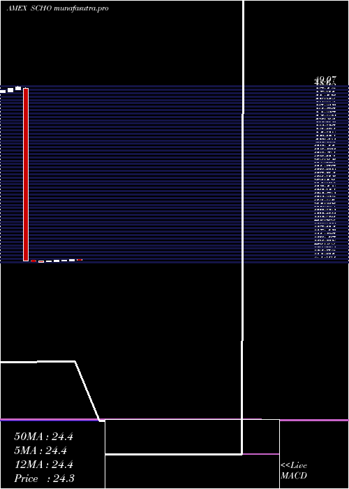 monthly chart SchwabShort