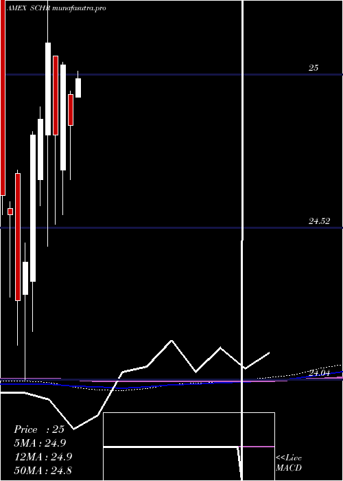  monthly chart SchwabInterm