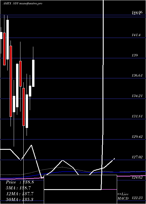 monthly chart SpdrS
