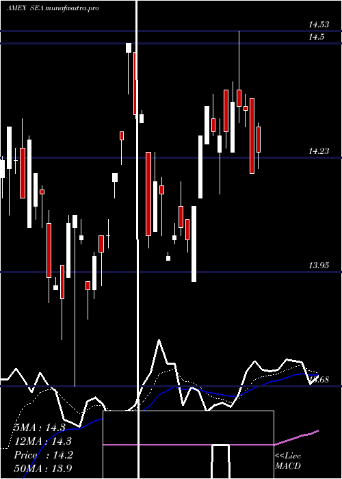Daily chart ShippingGuggenheim
