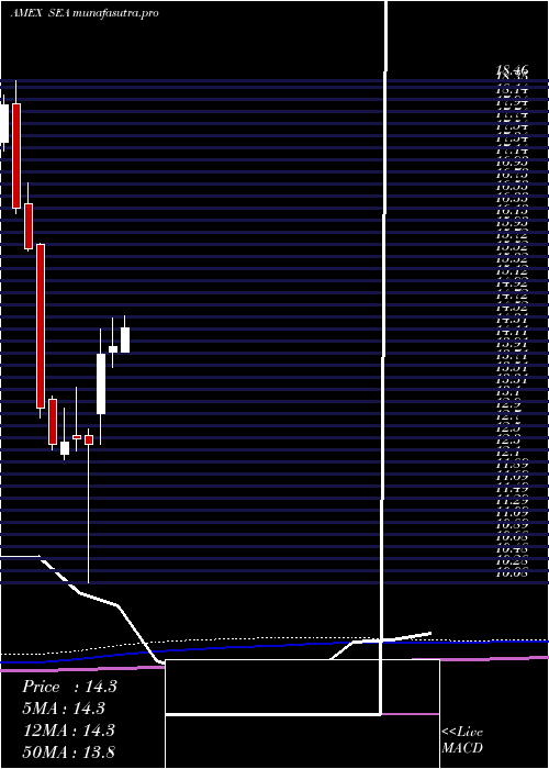 monthly chart ShippingGuggenheim