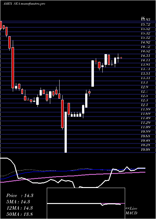 weekly chart ShippingGuggenheim