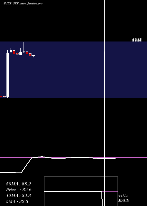 monthly chart ShortFinancials