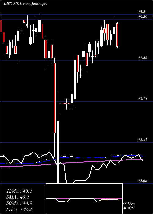  weekly chart XtrackersShort