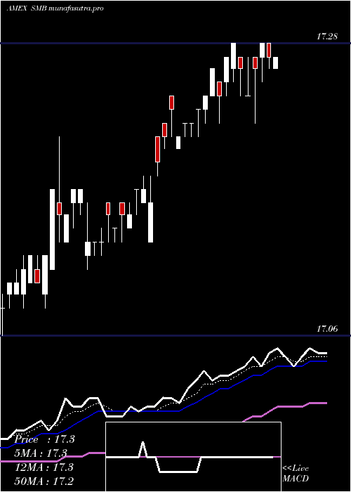Daily chart ShortMunicipal