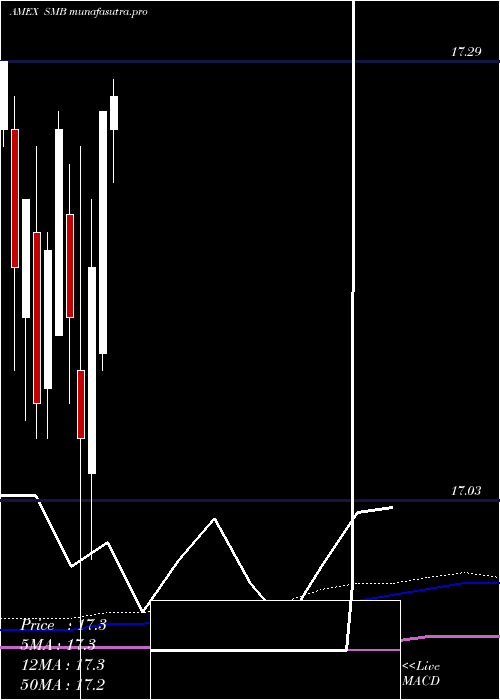 monthly chart ShortMunicipal