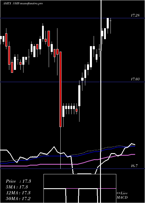weekly chart ShortMunicipal