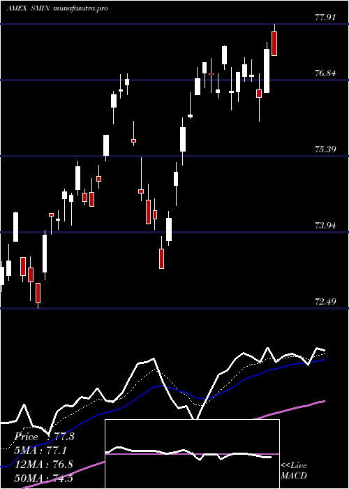 Daily chart IndiaSmallcap