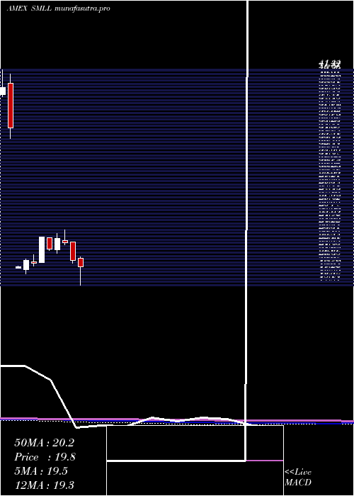  monthly chart DirexiionDaily