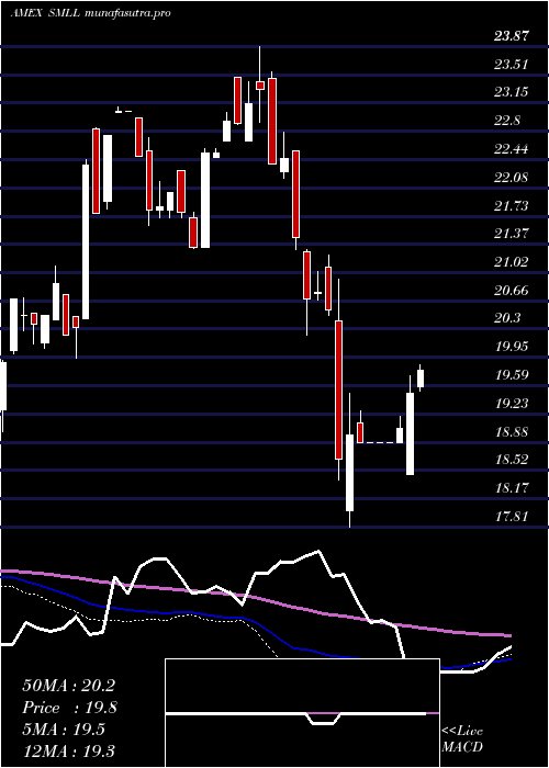  weekly chart DirexiionDaily