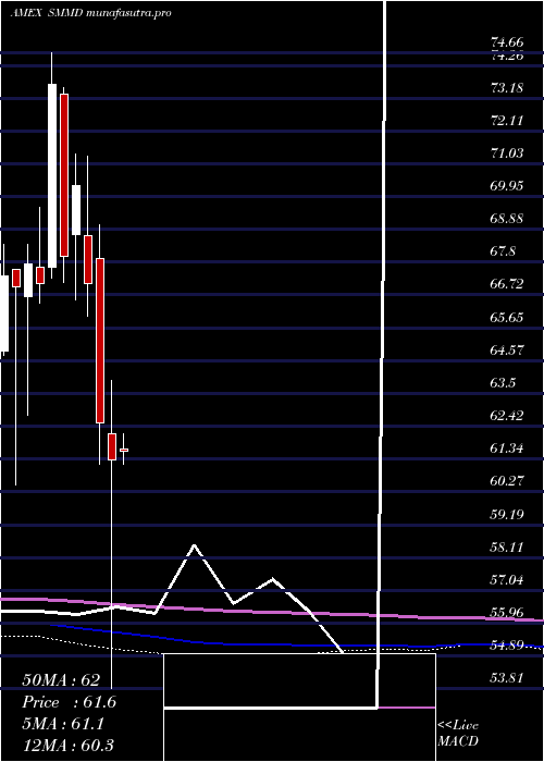 monthly chart Russell2500