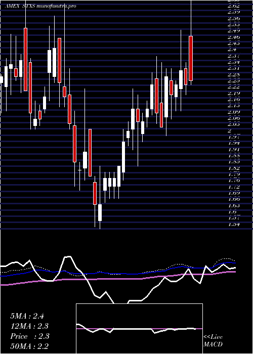  weekly chart StereotaxisInc