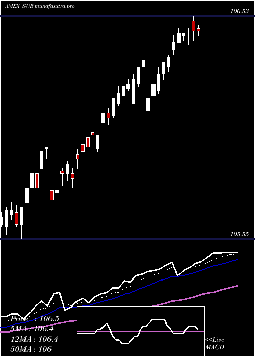 Daily chart SP