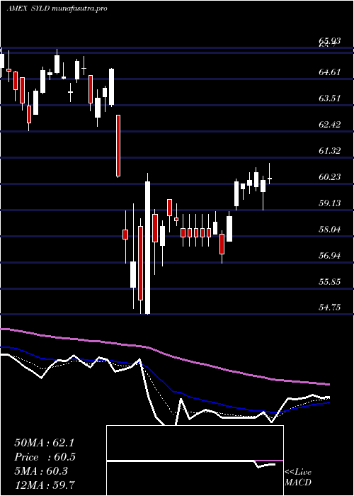 Daily chart CambriaShareholder