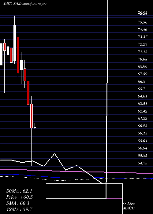 monthly chart CambriaShareholder
