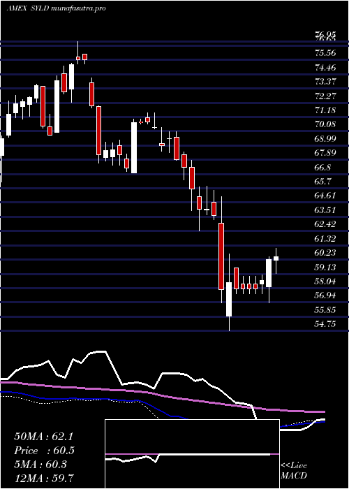 weekly chart CambriaShareholder