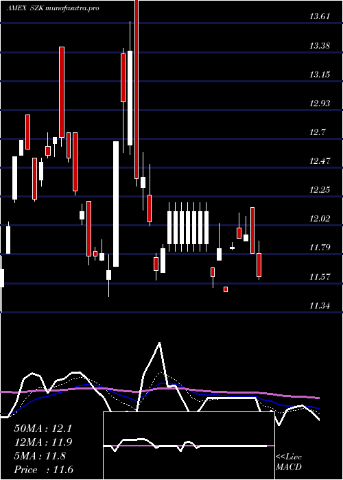  Daily chart UltrashortConsumer
