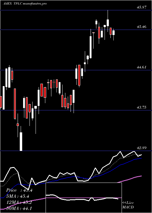 Daily chart TimothyPlan