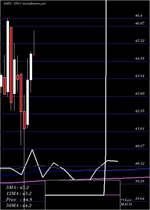 monthly chart TimothyPlan