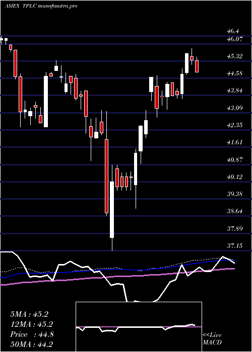 weekly chart TimothyPlan
