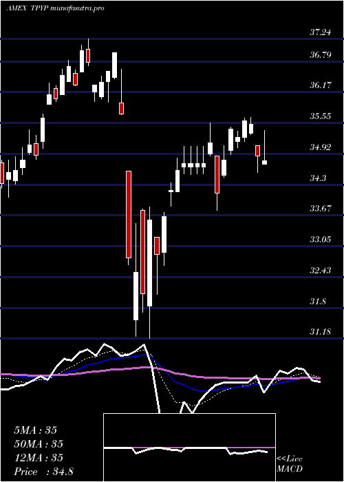 Daily chart TortoiseNorth