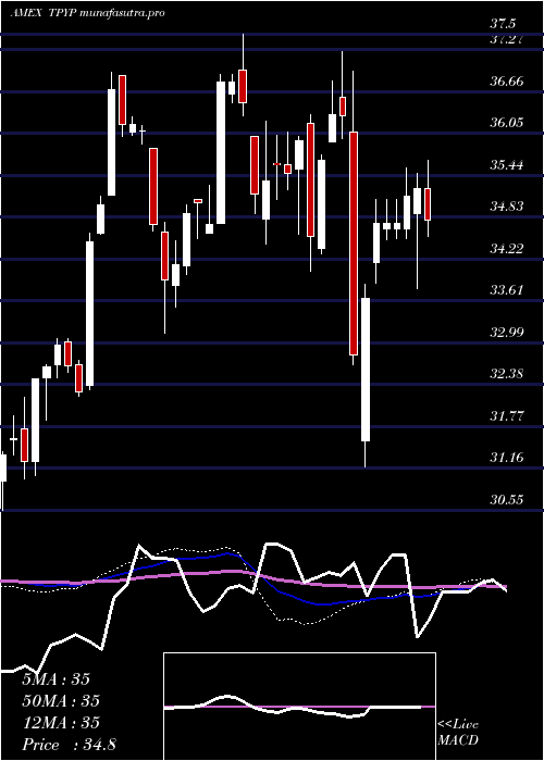 weekly chart TortoiseNorth