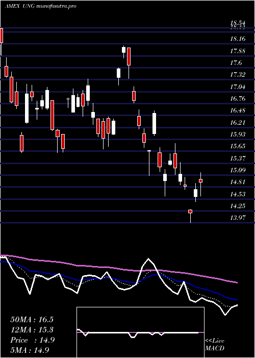 Daily chart UsNatural