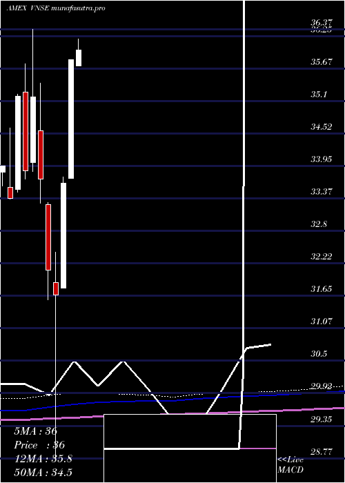 monthly chart NatixisVaughan