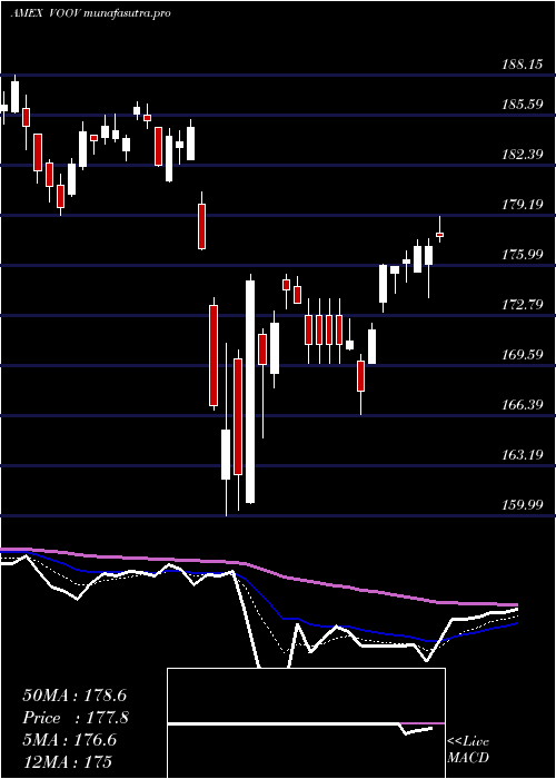 Daily chart SP