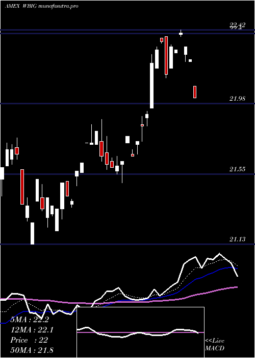 Daily chart WbiLarge