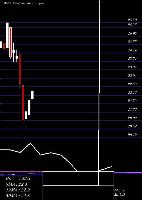 monthly chart WbiLarge