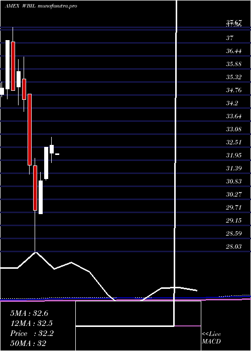  monthly chart WbiLarge