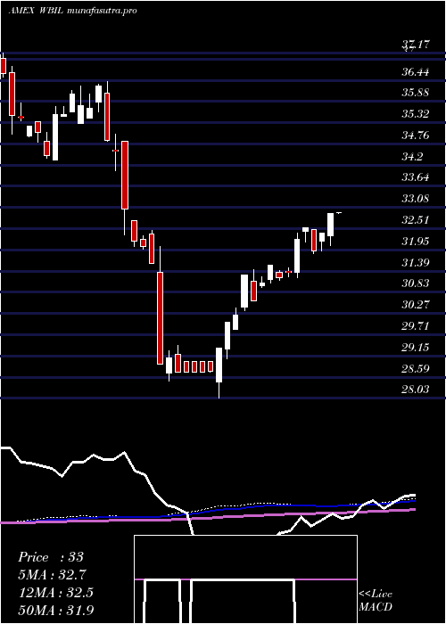  weekly chart WbiLarge