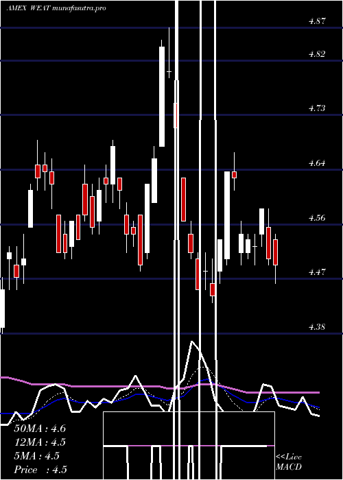 Daily chart TeucriumWheat
