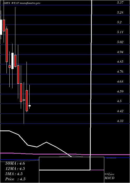 monthly chart TeucriumWheat