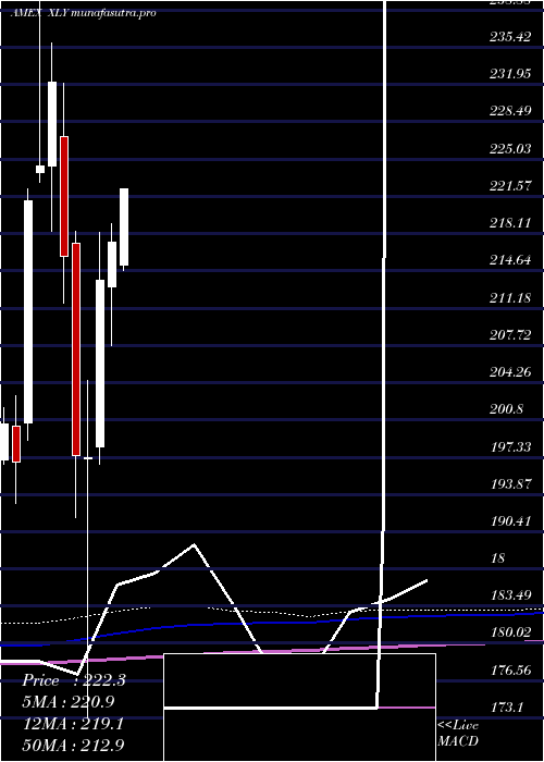 monthly chart ConsumerDiscret