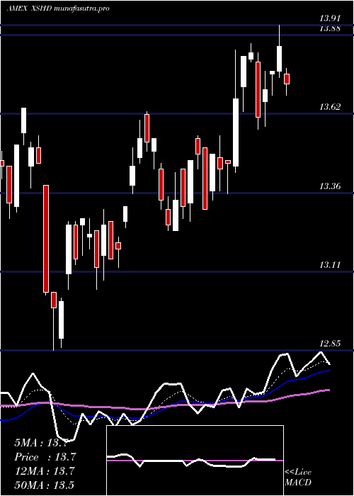 Daily chart SP