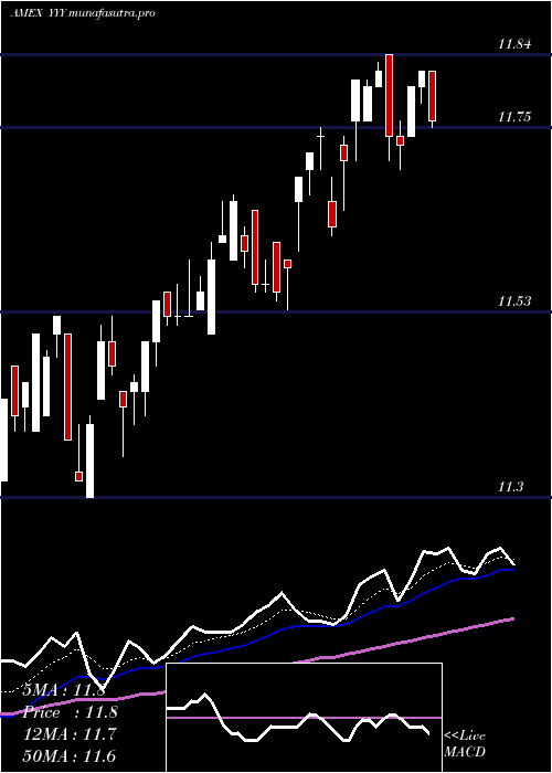 Daily chart YieldsharesHigh