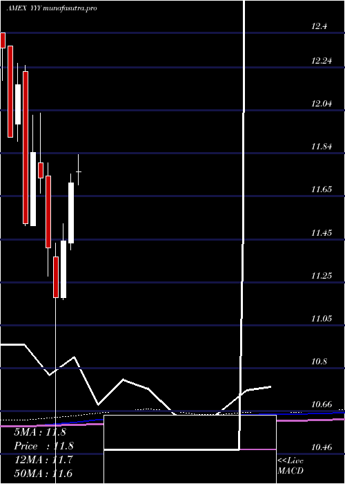 monthly chart YieldsharesHigh