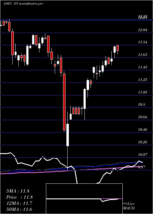 weekly chart YieldsharesHigh
