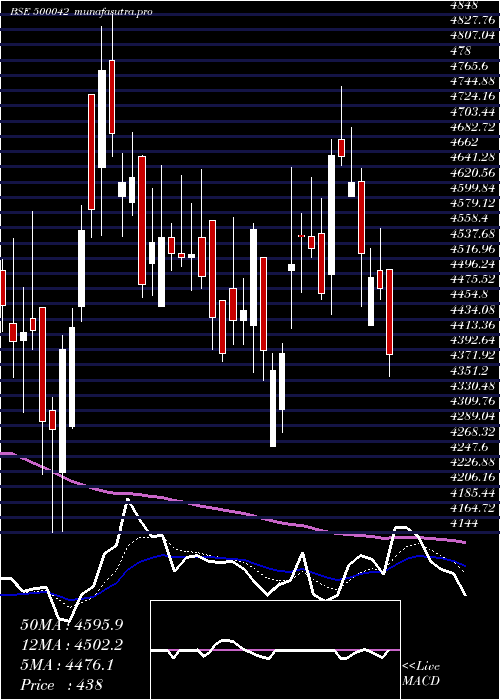  Daily chart BasfIndia