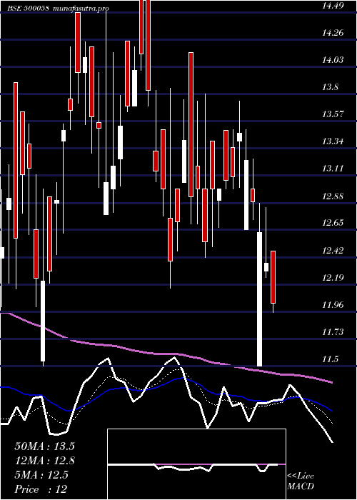 Daily chart BiharSponge