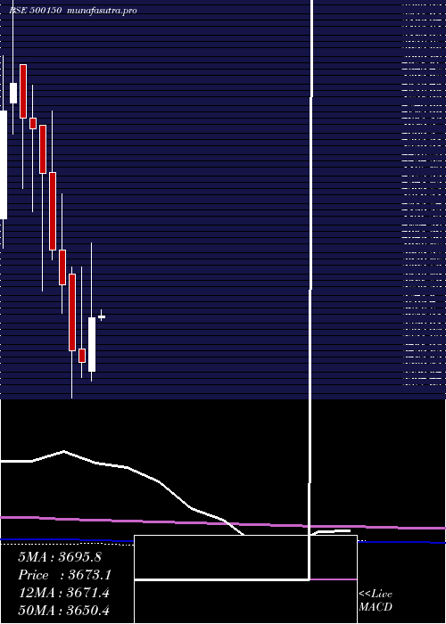 monthly chart FosecoIndia