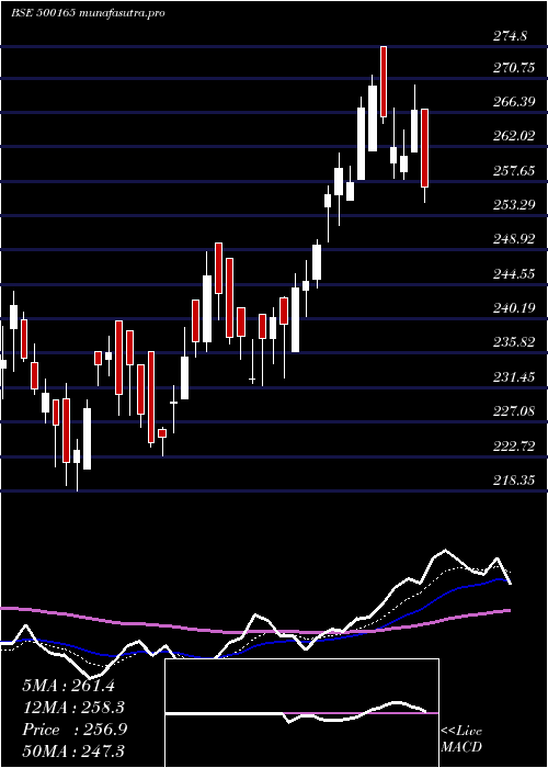Daily chart KansaiNero