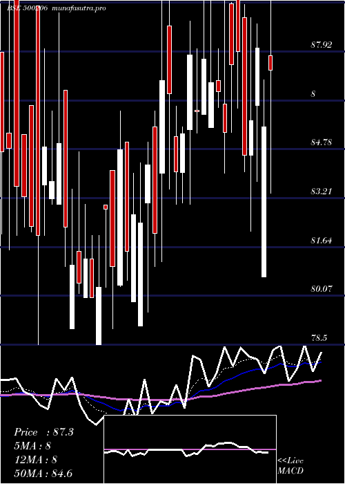  Daily chart MargoFin