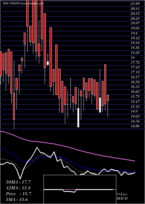 Daily chart KgDenim